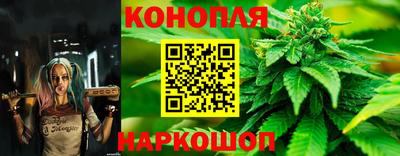 гашик Ставрополь