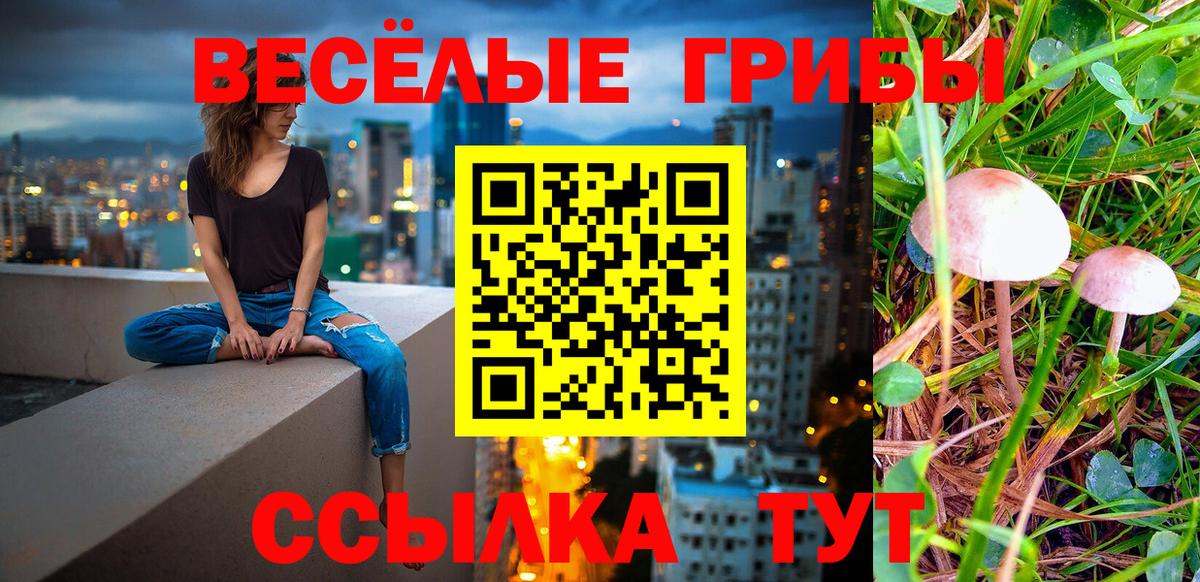 Галлюциногенные грибы MAGIC MUSHROOMS  Вход с VPN  Павлово 