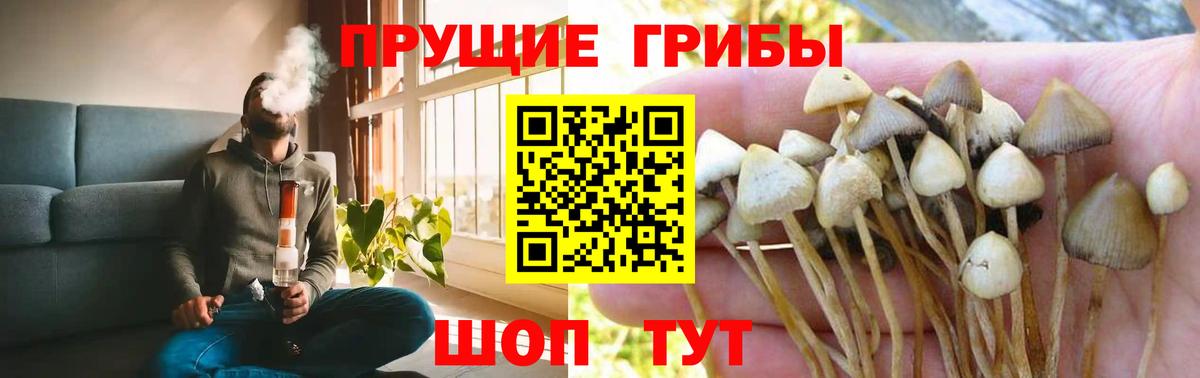 Галлюциногенные грибы мухоморы Павлово