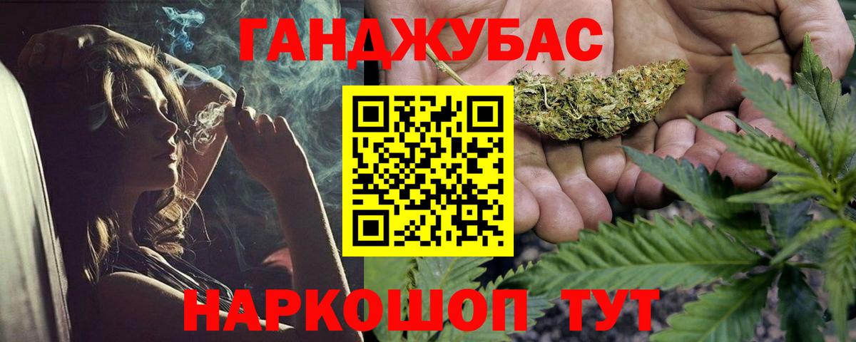 Конопля сатива Павлово